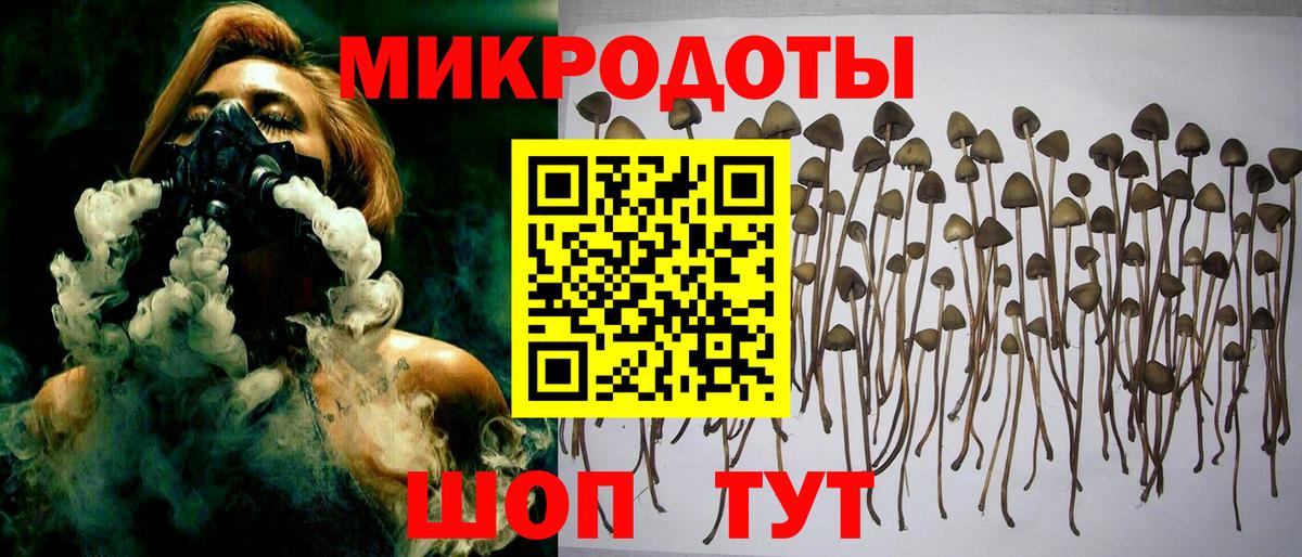 Лысьва  Псилоцибиновые грибы Magic Shrooms  Вход с VPN 